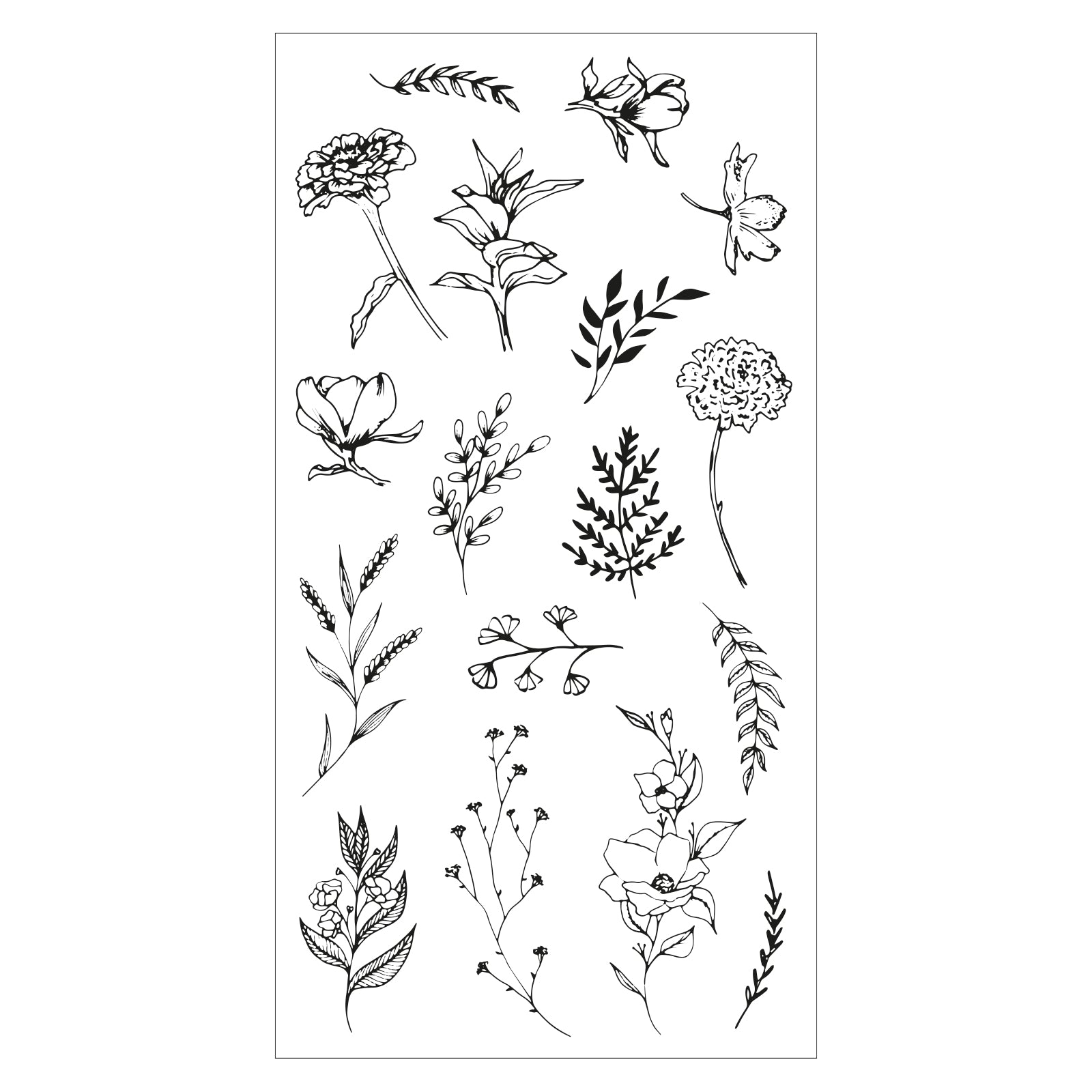 sizzix-clear-stamps-garden-botanicals-stempelset-17-teilig image 3