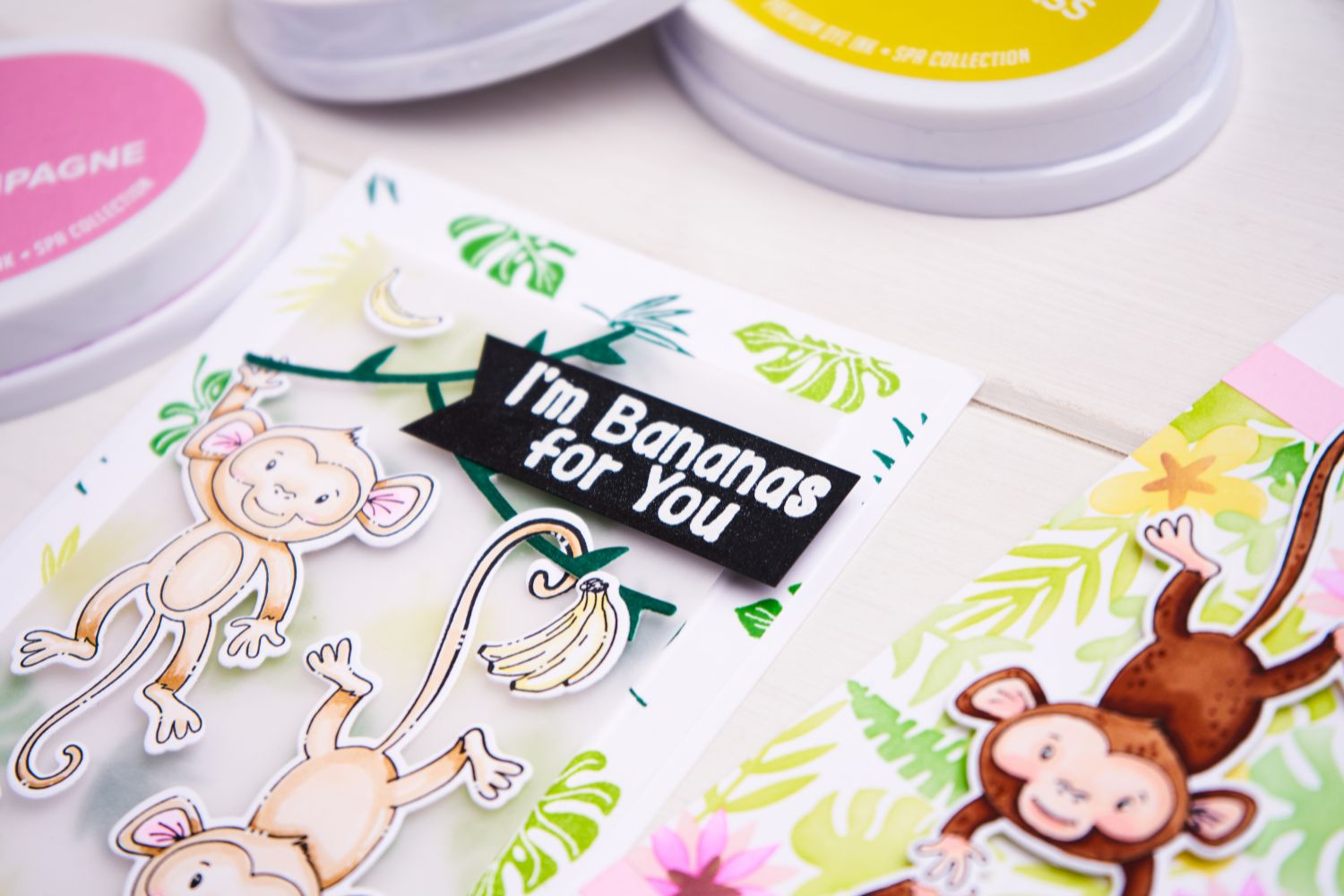 sizzix-stay-wild-clear-stamps-18tlg-tropische-bl-tter-catherine-pooler image 5