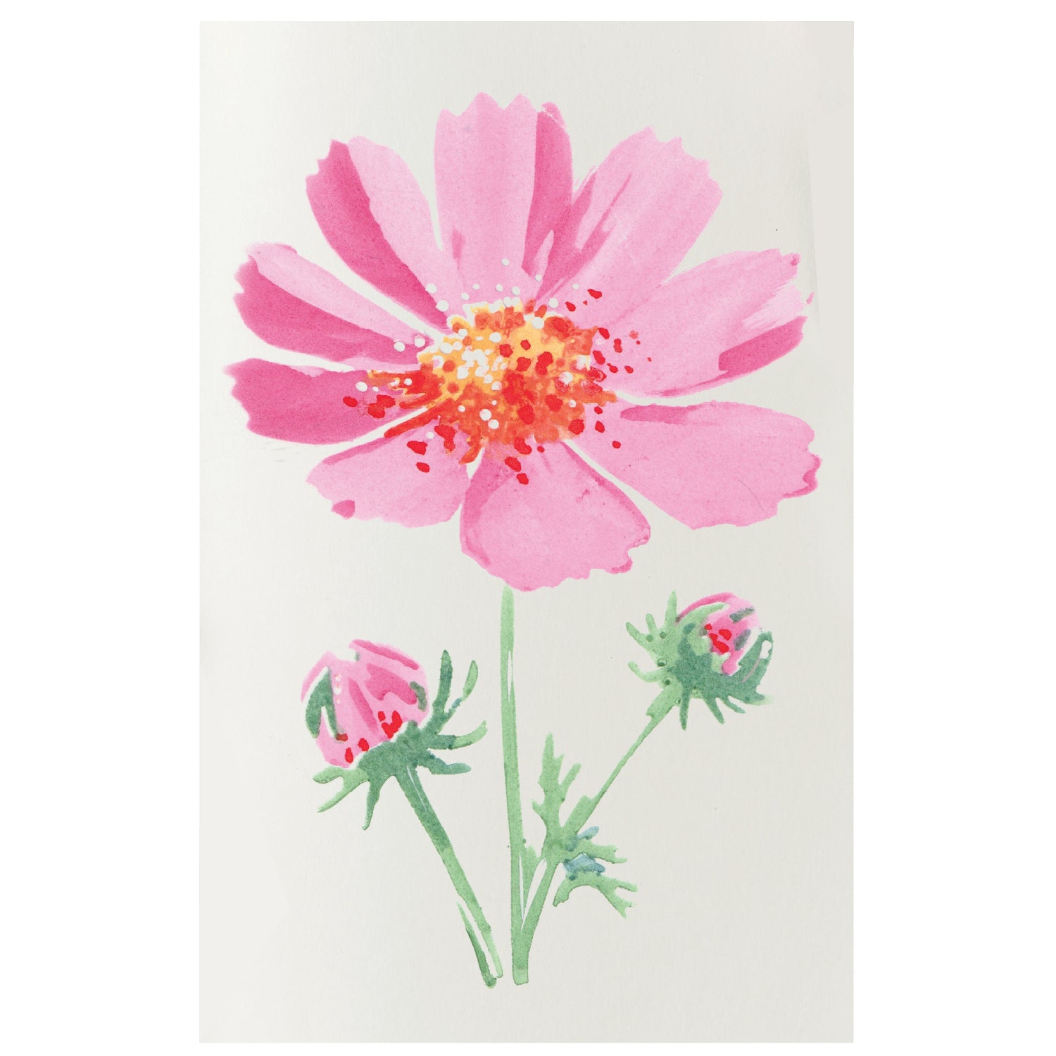 sizzix-studio-cosmo-schablonen-4er-set-blumen-willow-wolfe image 1