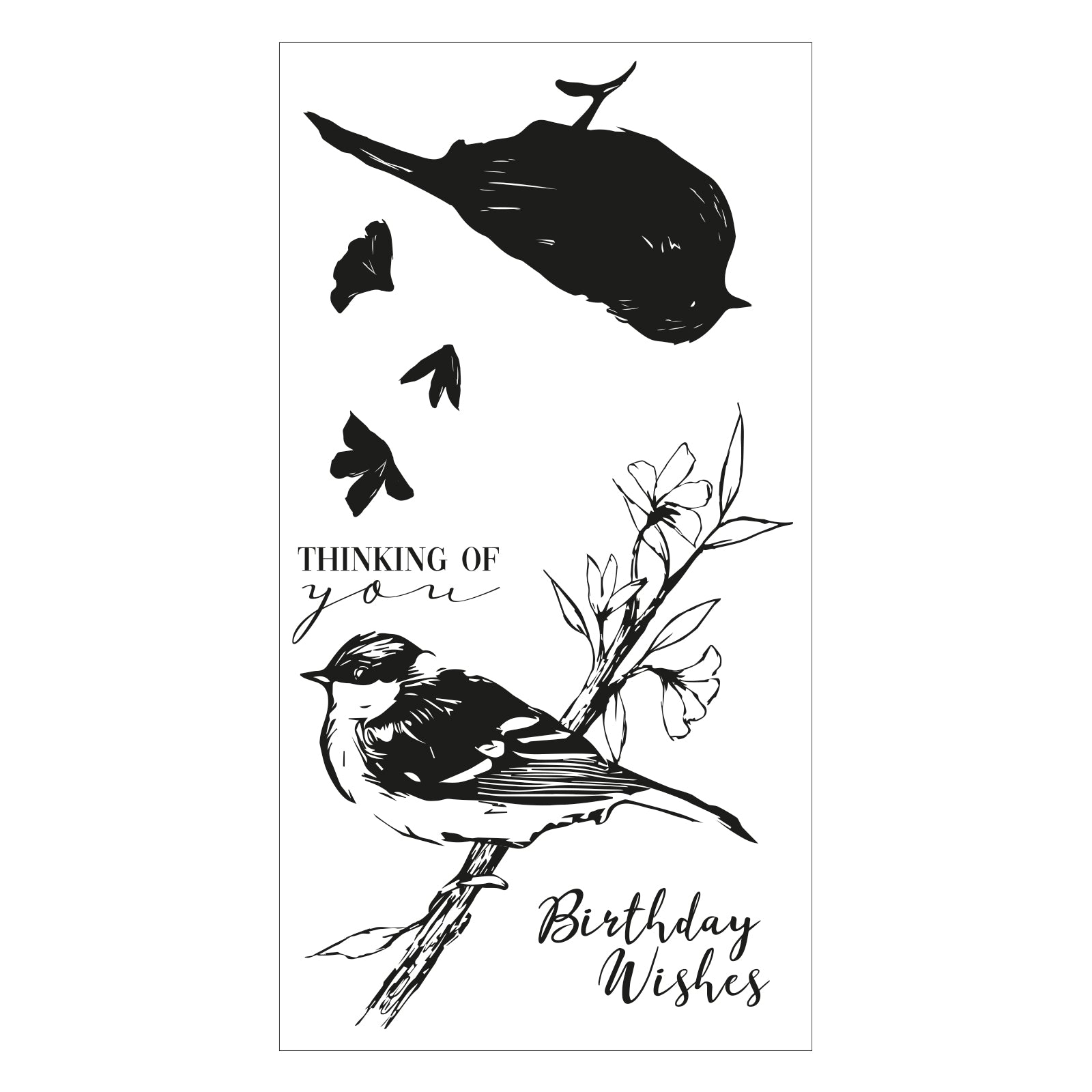 sizzix-layered-stamps-summer-bird-stempelset-4tlg-vogel image 2