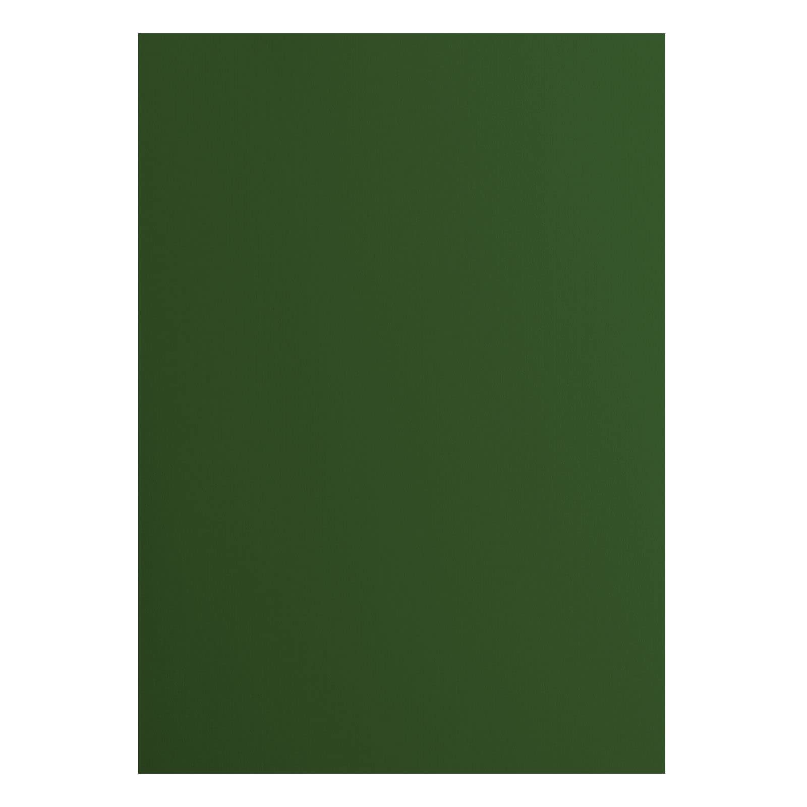 vaessen-florence-cardstock-papier-gr-n-a4-10-blatt-216g-glatt image 1