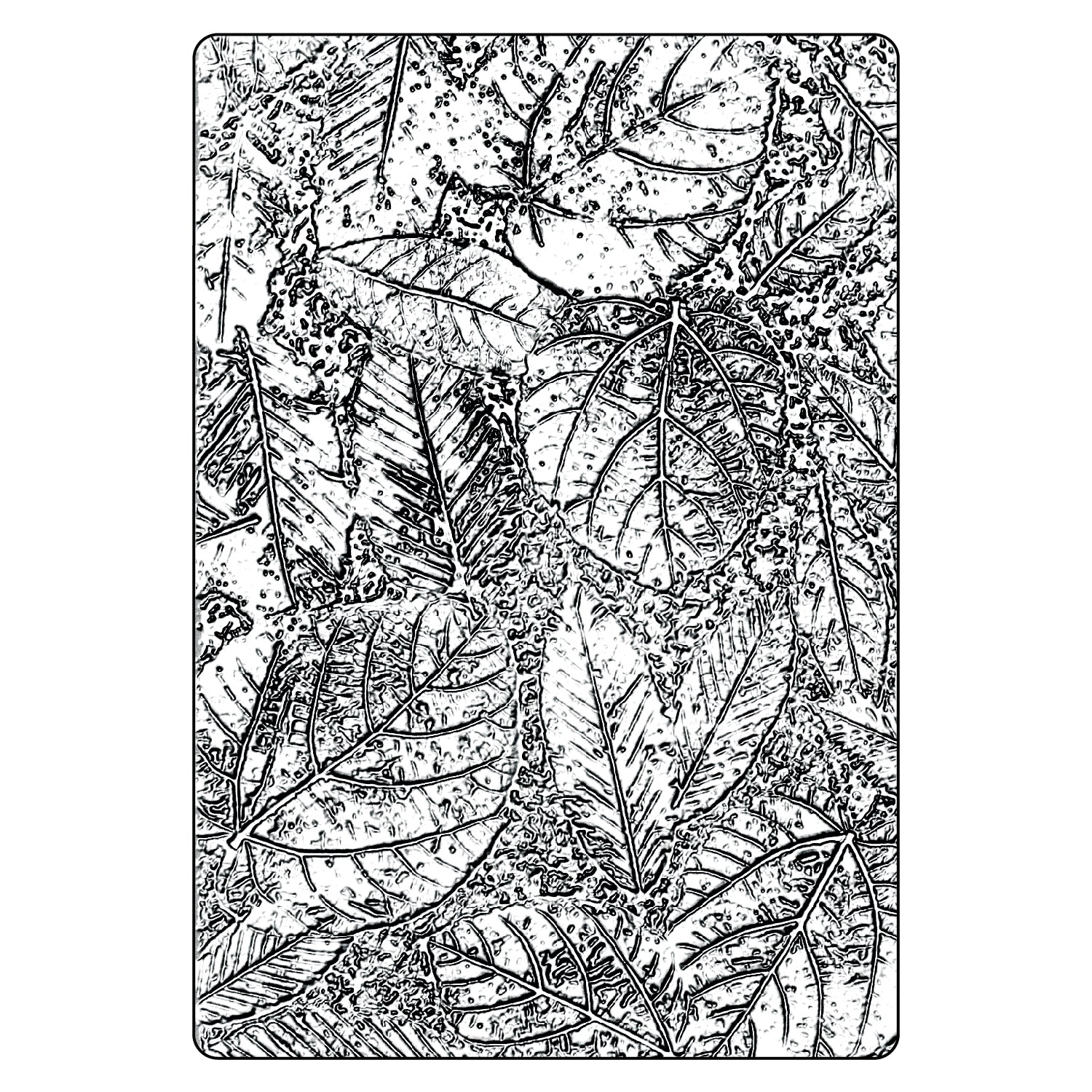 sizzix-tim-holtz-foliage-pr-gefolder-a5-3-d-texture-fades image 1