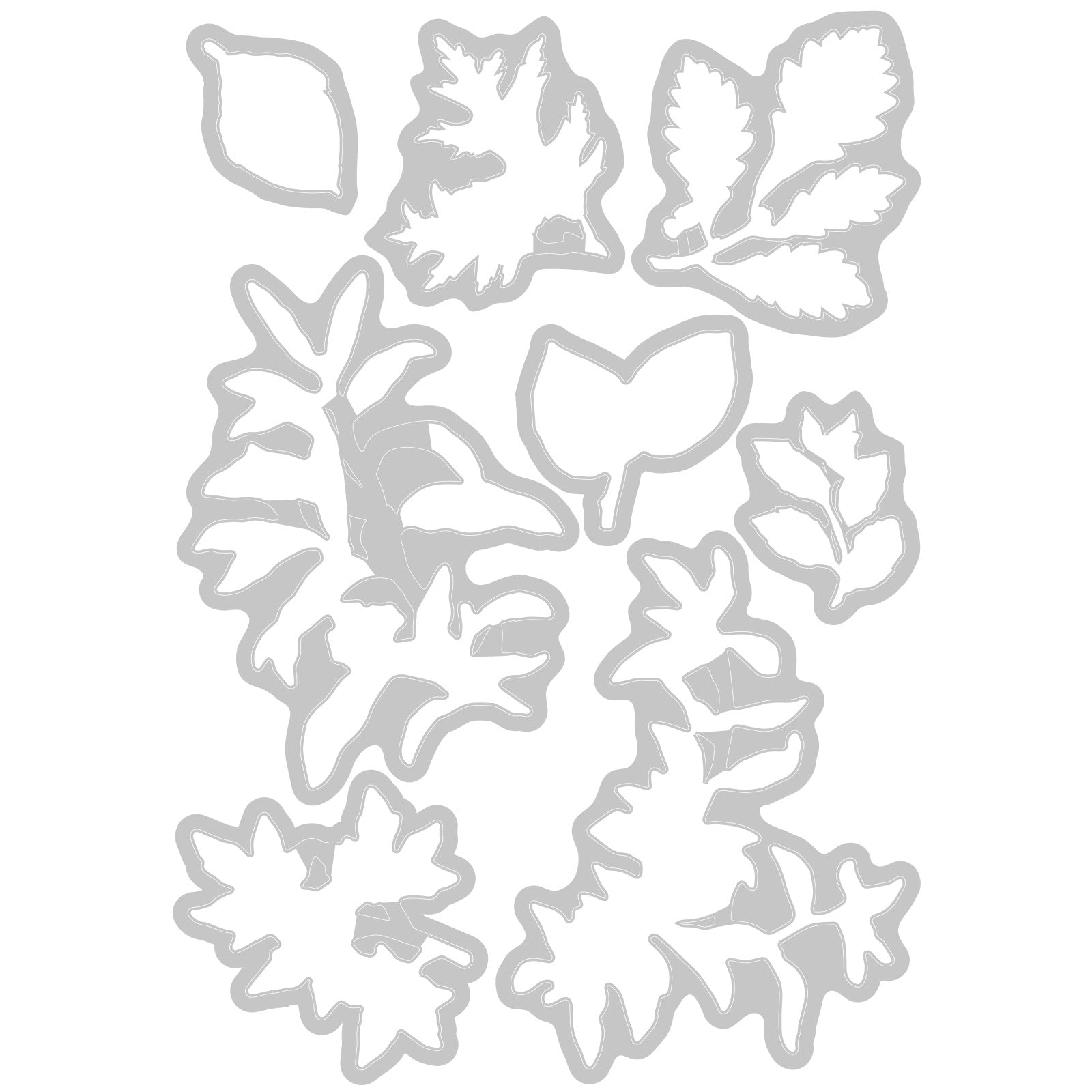 sizzix-framelits-forever-leaves-stempelset-8-teilig-bl-tter image 3