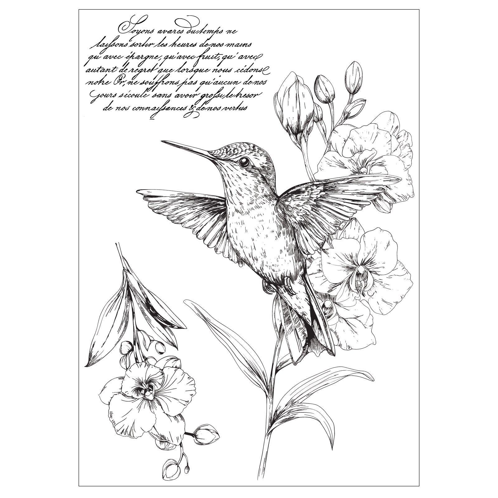 sizzix-studio-hummingbird-orchids-clear-stamps-stempel-3er-set image 4