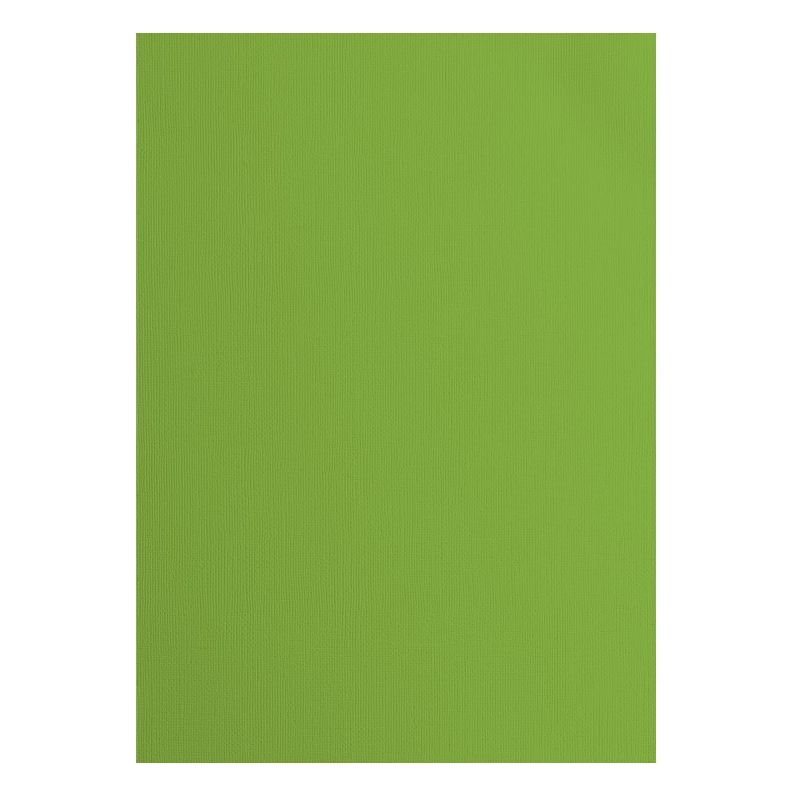vaessen-creative-florence-tonkarton-a4-frog-gr-n-25-b-gen-textur image 1