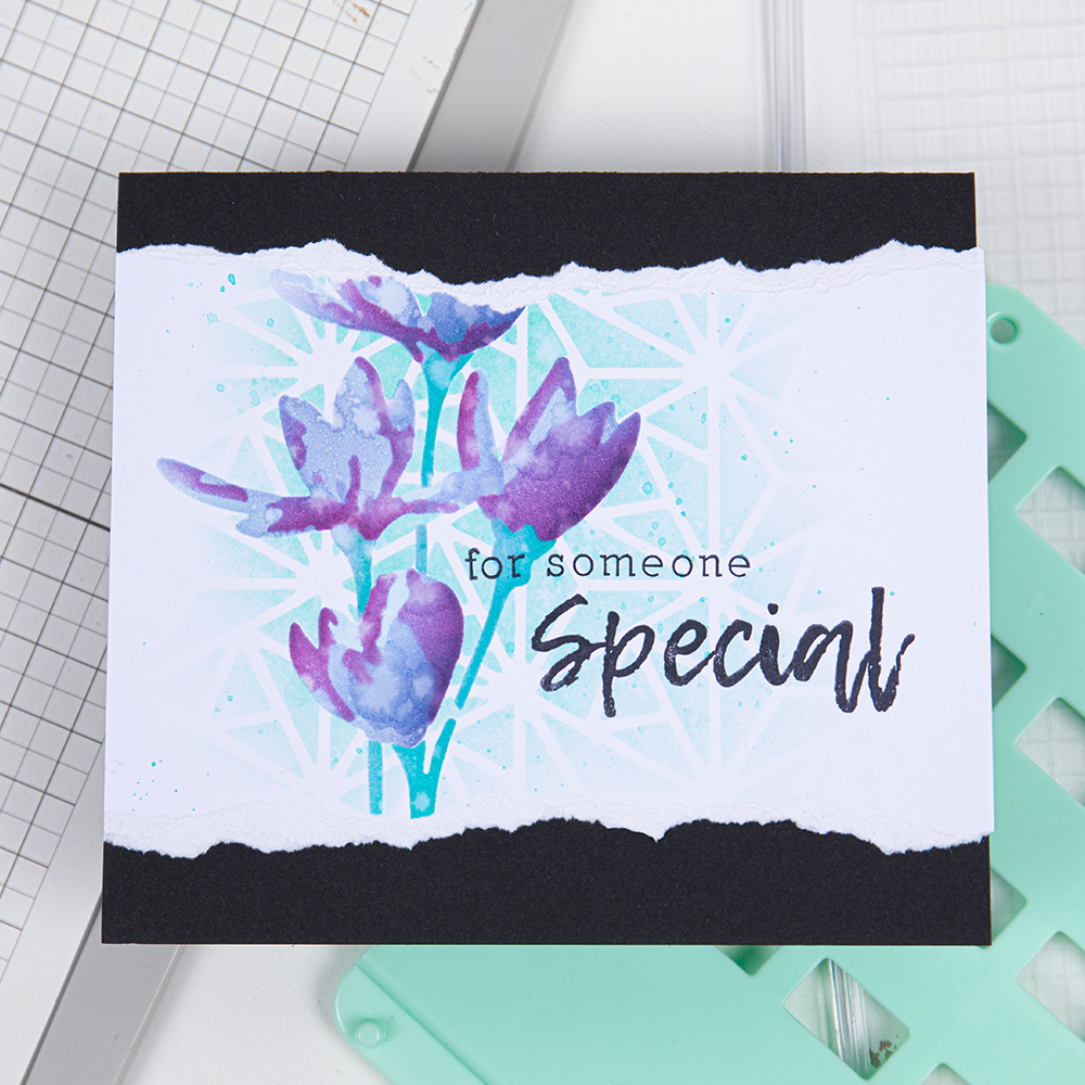 sizzix-clear-stamps-sunnyside-sentiments-2-stempel-5tlg-spr-che image 7