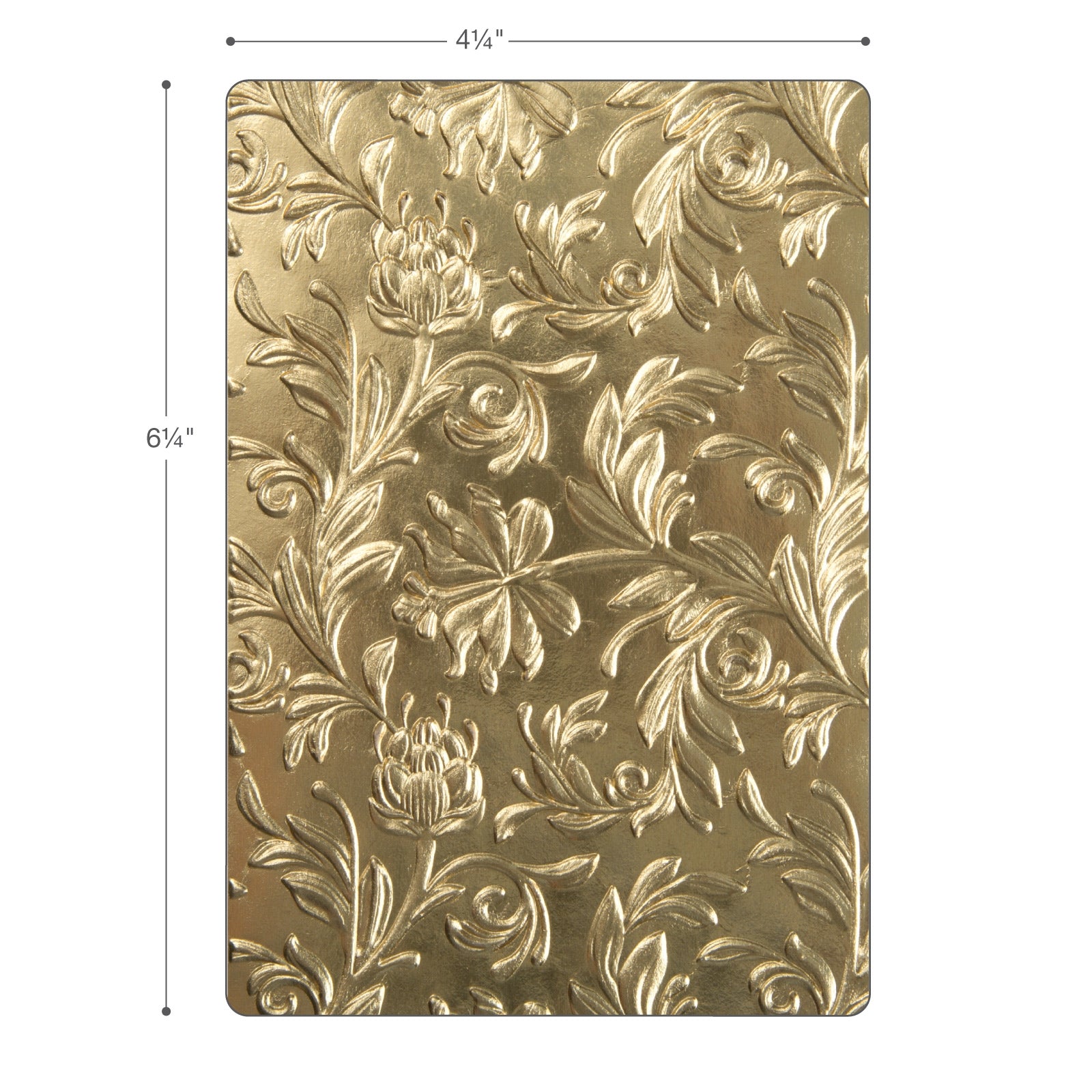 sizzix-3-d-texture-fades-pr-gefolder-botanical-tim-holtz-bl-tter image 2