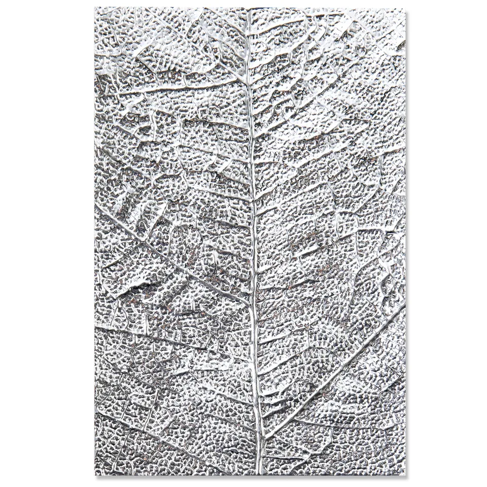 sizzix-3-d-leaf-veins-pr-gefolder-textured-impressions-bl-tter image 1